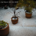 20091006 Hail Storm 21 of 52